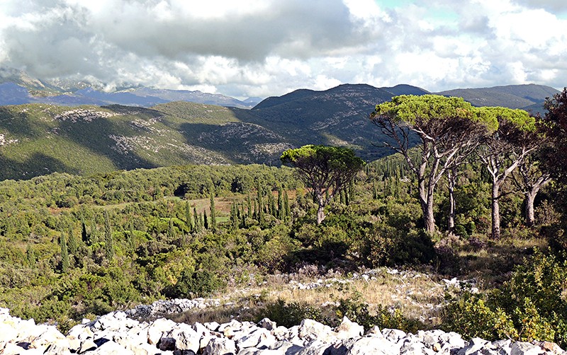 Konavle Valley9